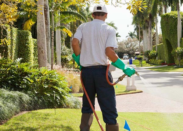 About Liebenthal KS Pest Control